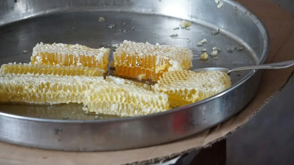 10 avis importants sur le miel de Manuka en France